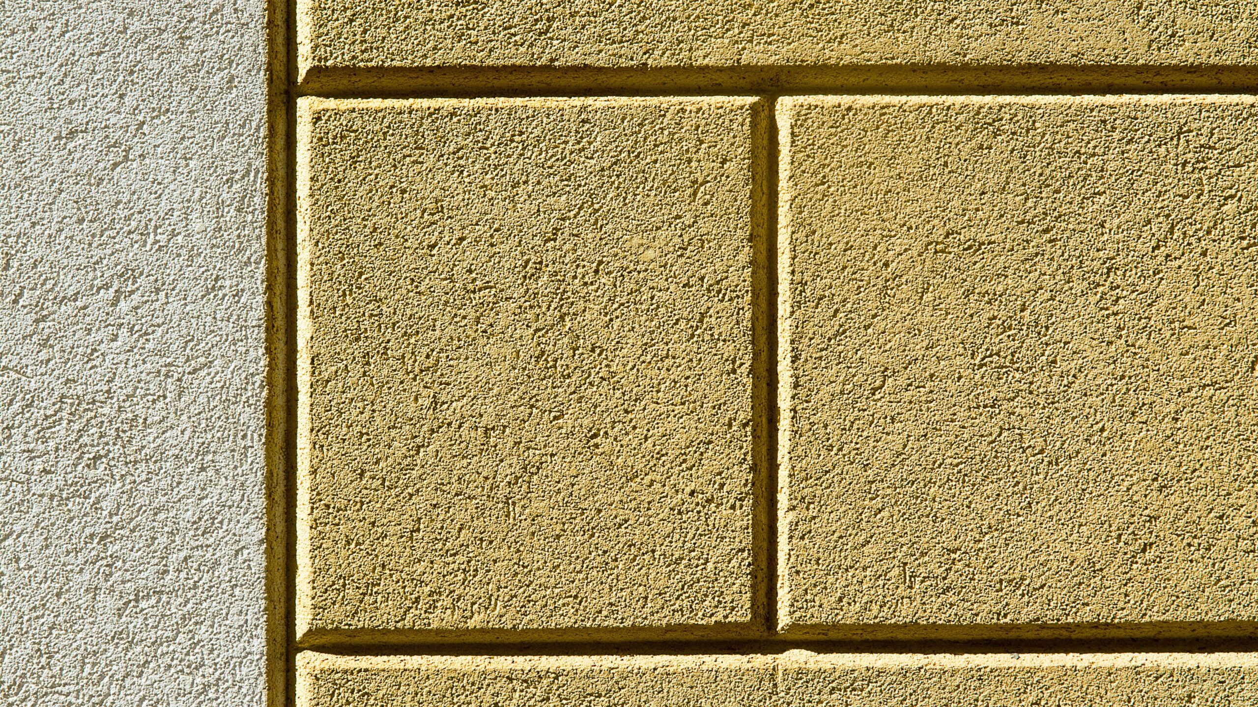 Pantone 12-0824 "Pale Banana"